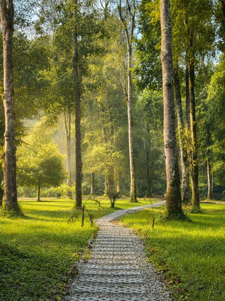 Suasana Asri Savana Rengganis